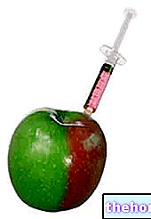 E296 - jabolčna kislina