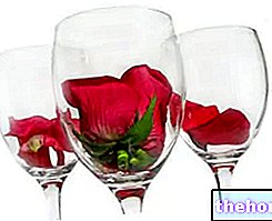 Rosolio - minuman keras mawar