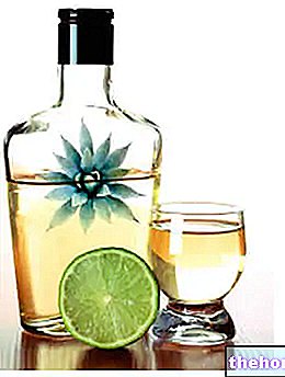 alcool-et-spiritueux - Tequila