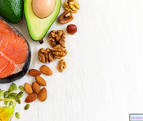 Diet Rich in Omega 3: The Best Recipes
