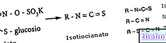 Glucosinolates et Isothiocyanates