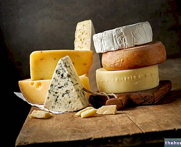 Le fromage est-il sans gluten ? Quels fromages sont sans gluten