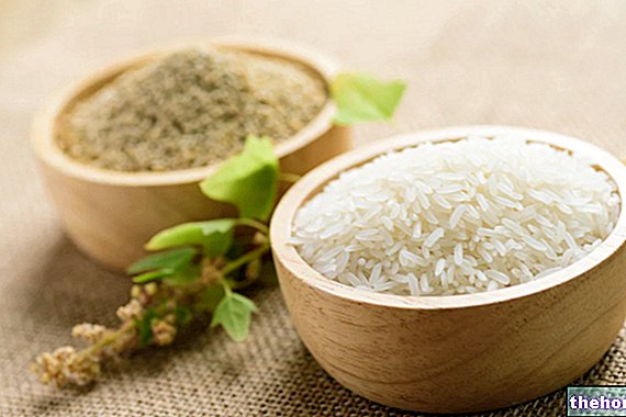Quinoa et riz : lequel est le plus sain ?