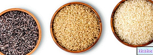 Білий рис і коричневий рис: що краще