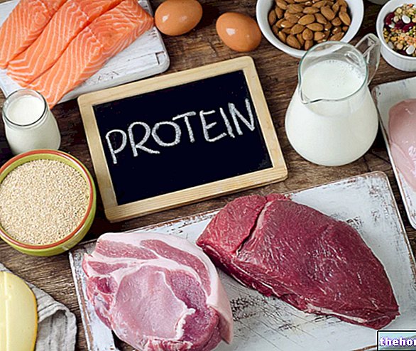 Necesidad de proteínas: ¿Cuánta proteína necesitamos?