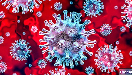 Coronavirus: ¿que comer?