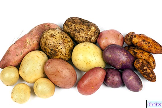 Krompir in sladki krompir: razlike