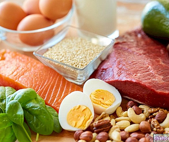 Aliments et protéines