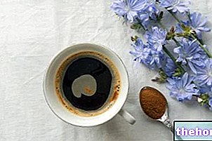 Cikorijos kava