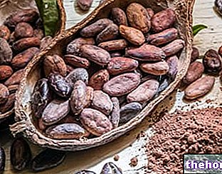 Fèves de cacao : propriétés et utilisations