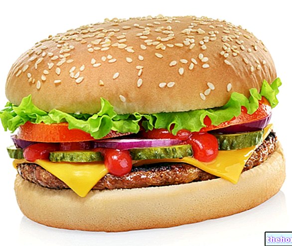 Hamburger: Prehranske lastnosti