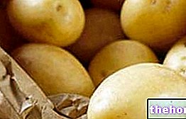 Pommes de terre : propriétés nutritionnelles et cuisine