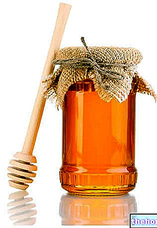 Honingproductie - conservering en etikettering