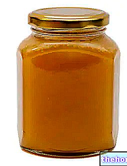 꿀 생산 - 유도 결정화, 포팅 및 저장