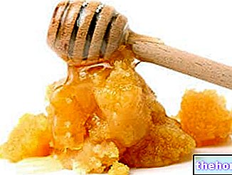 Виробництво меду: пастеризація та методи його утримання в рідкому стані