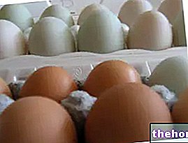 Koliko i koja jaja jesti?