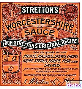 salsa Worcester