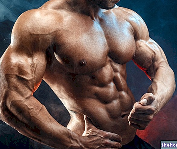 Mišična moč pri bodybuildingu