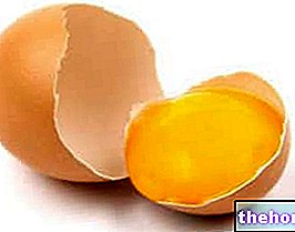 אלרגיה לביצים
