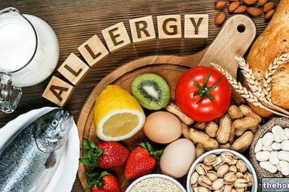 Desarrollo de alergias alimentarias: función de la edad y el medio ambiente