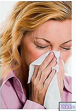 Allergie aux acariens : symptômes, diagnostic et traitement