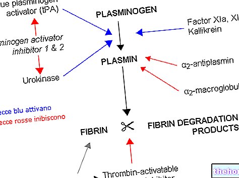 Plasmin in fibrinoliza