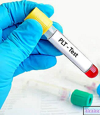 PLT - Analyse de sang