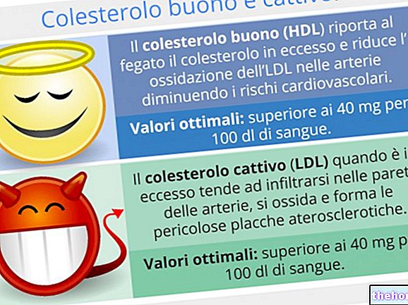 Relación colesterol LDL / HDL