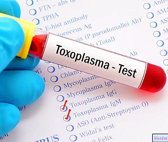 Test Toxo : qu'est-ce que c'est et comment lire les résultats ? Test de toxoplasmose de grossesse