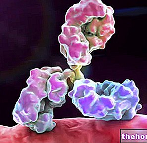 Valeurs d'immunoglobulines - Valeurs d'anticorps