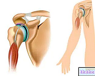 Articulation de l'épaule : anatomie, mouvements et blessures