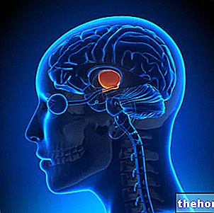Hypothalamus: Vad är det? Anatomi, egenskaper, funktioner och patologier