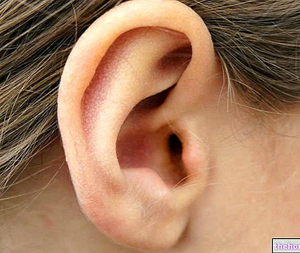 Zunanje uho: anatomija, funkcije in patologije