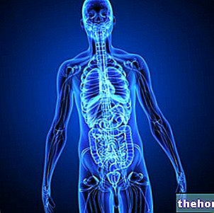 Organele corpului uman: Ce și ce sunt acestea? Subdiviziune în aparate