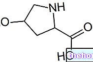 化粧品およびサプリメント中のヒドロキシプロリン