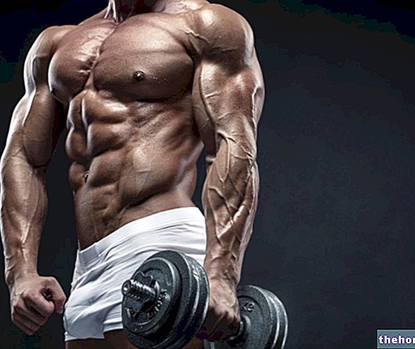 Bodybuilding: zakaj kratek in intenziven