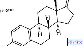 Estrone - Estrone sulfat in lasje