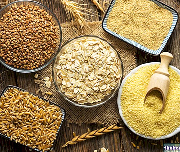 Cereales: función nutricional y dietética