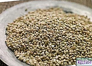 Tepung quinoa