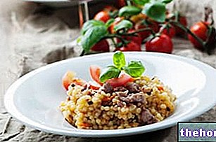 פרגולה סרדינית: מאפיינים תזונתיים, תפקיד בתזונה וכיצד לבשל אותה
