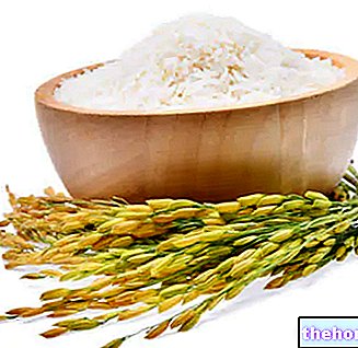 Riža: Prehrambena i kuharska svojstva