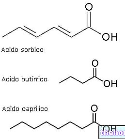 L'acide sorbique