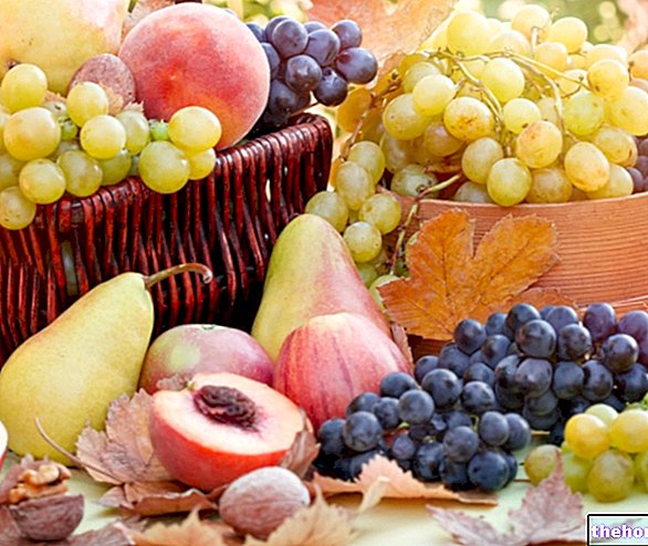 פירות: עונתיות ושימור פירות