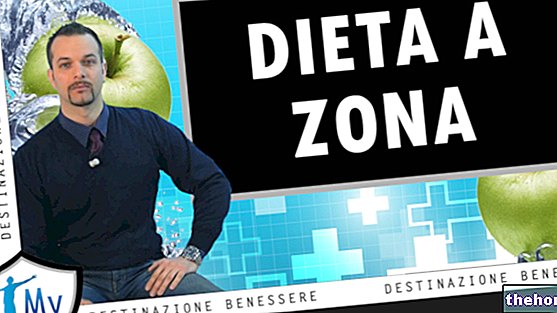 Zone Diet - Video: Beneficios, efectividad y criticidad