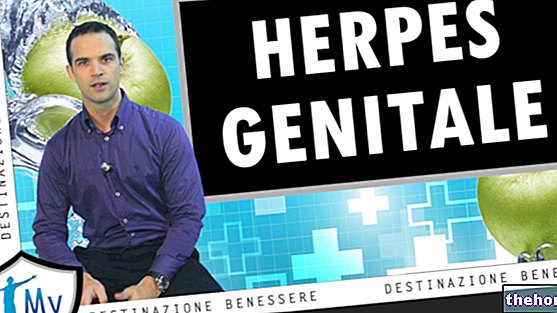 Herpès génital - Vidéo: Causes Symptômes Diagnostic Cure
