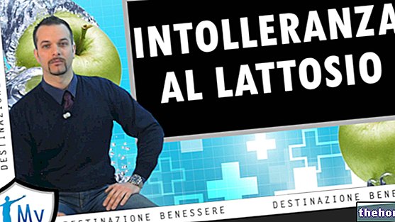 Интолеранција на лактозу - Видео: Узроци, симптоми, дијета