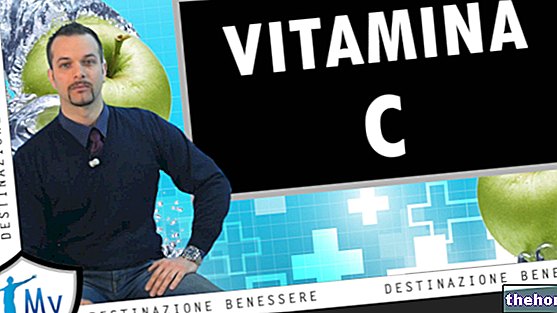 Vitamine C - Fonctions, Aliments de soutien, Besoins