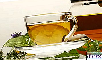Herbal teas and diabetes