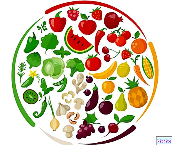 5 farver kost af frugt og grøntsager