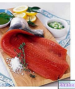 Régime alimentaire et saumon : avantages et controverses